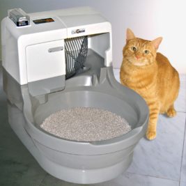 Orange cat sitting with a CatGenie self-flushing, self-washing litter box.