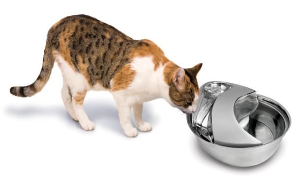 Cat drinking out of a Pioneer Pet Raindrop Stainless Steel Drinking Fountain