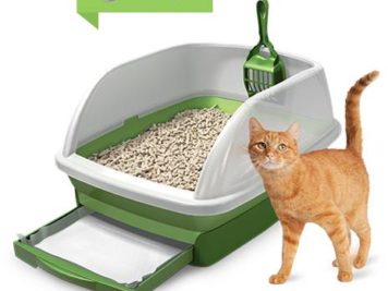 Purina Tidy Cats Breeze Litter Box System with a cat next to it