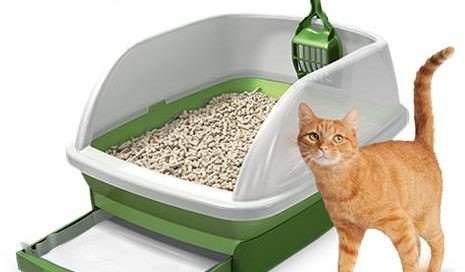 Purina Tidy Cats Breeze Litter Box System with a cat next to it