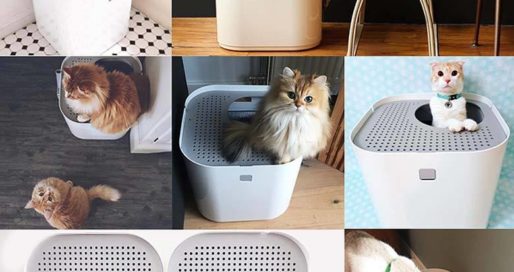 Modkat Top Entry Litter Box Collage of Cats