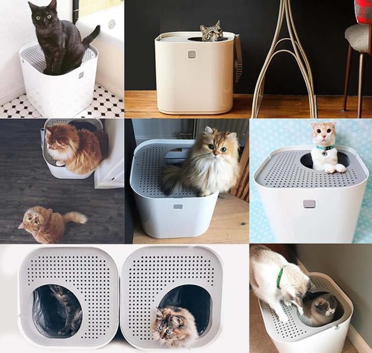 Modkat Top Entry Litter Box Collage of Cats