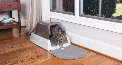 PetSafe ScoopFree Self-Cleaning Litter Box with a cat exiting the box.