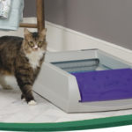PetSafe ScoopFree Self-Cleaning Litter Box with a cat standing next to it.